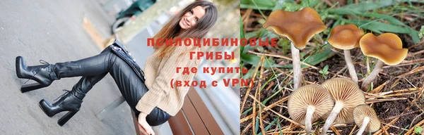 прущий лед Алексеевка