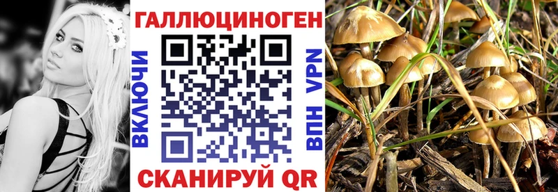 Галлюциногенные грибы MAGIC MUSHROOMS  Белебей 